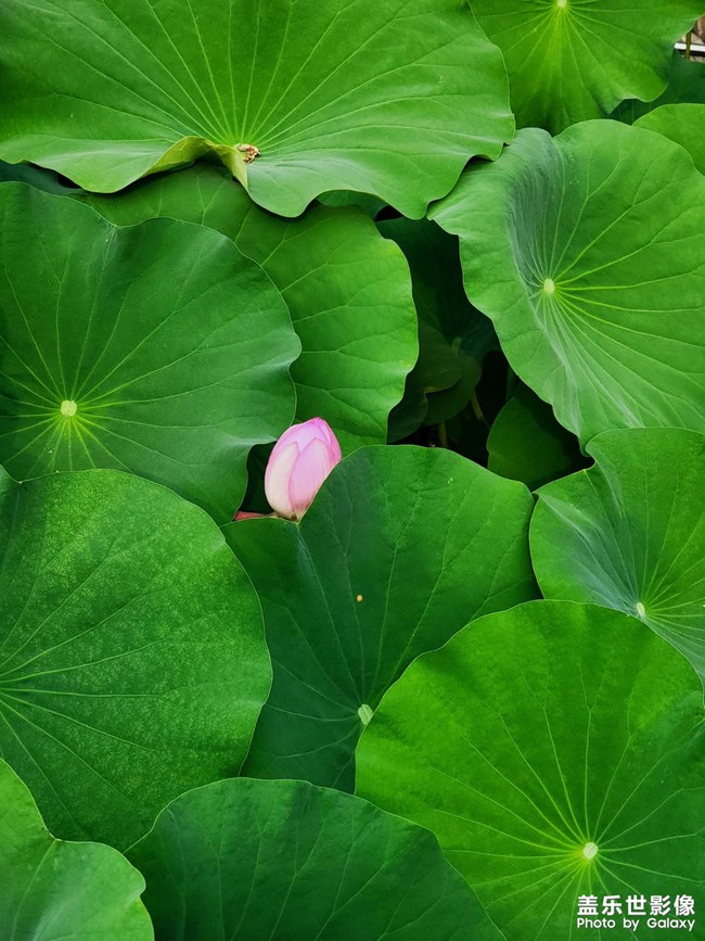 《精品大咖秀》 第四期: 上半年和下半年 《精品大咖秀》 第四期: 上半年和下半年