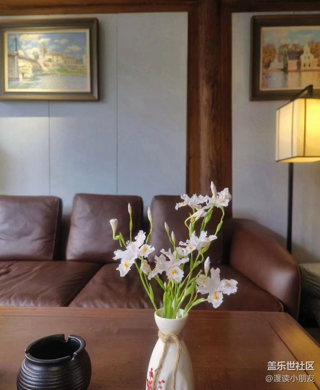 【我拍了拍夏天】小盆花