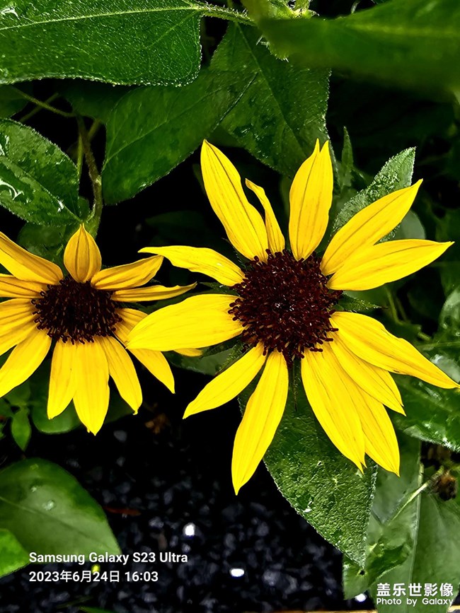 《精品大咖秀》 第四期: 上半年和下半年 《精品大咖秀》 第四期: 上半年和下半年