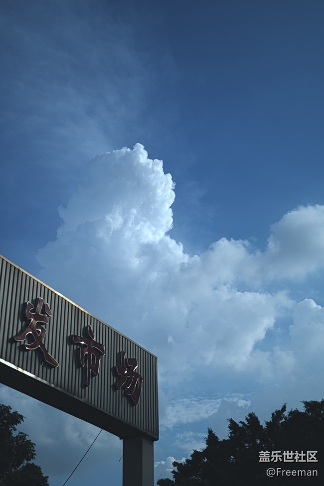 【我拍了拍夏天】蔚藍(lán)色