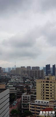 隨手拍