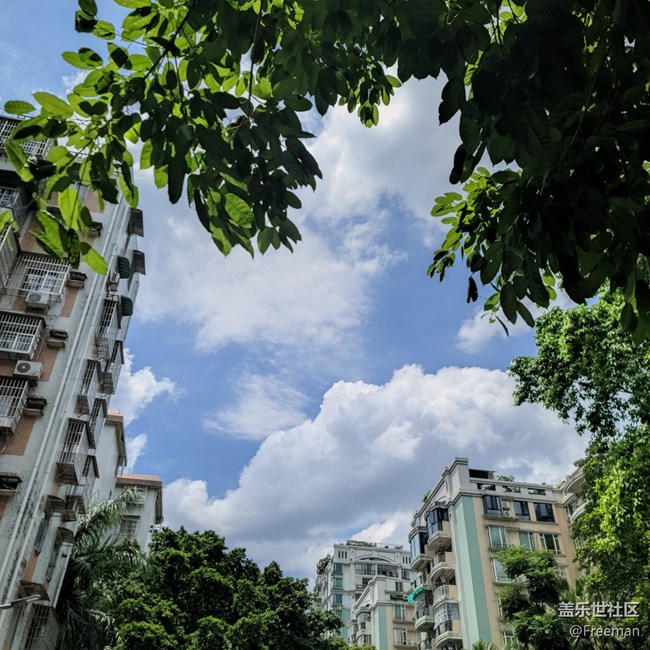【夏日色彩】看云