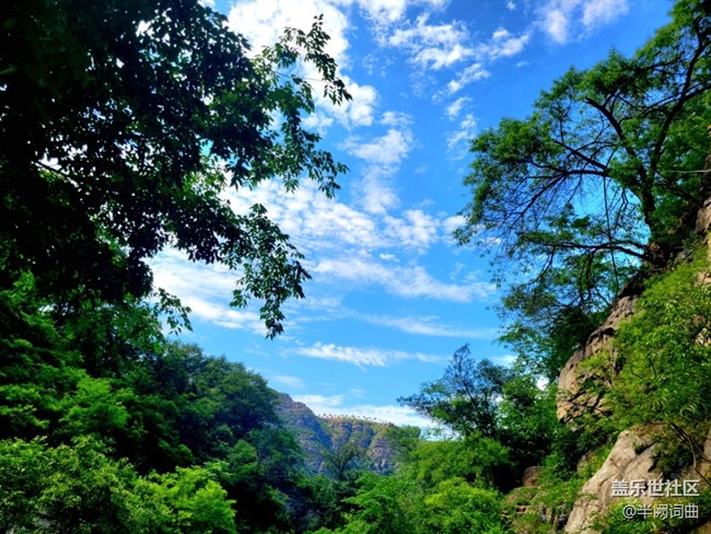 九龍?zhí)? title=