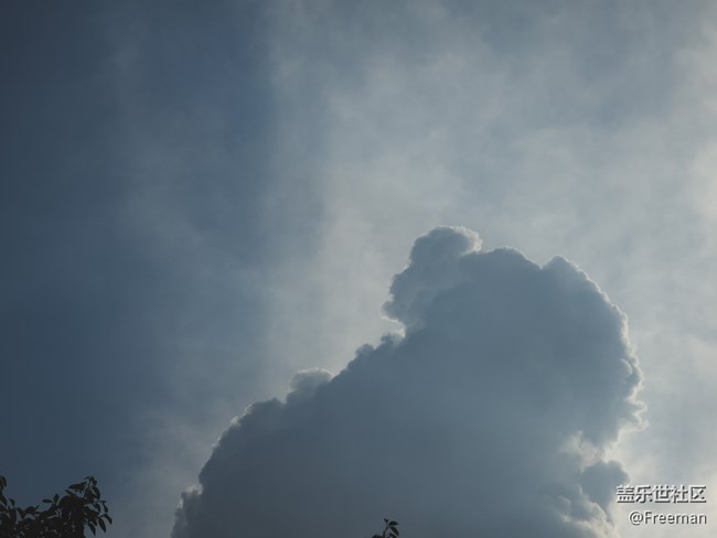 【陽光照耀的地方】暴曬の2023