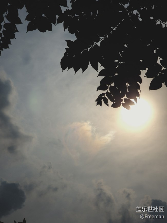 【陽光照耀的地方】暴曬の2023