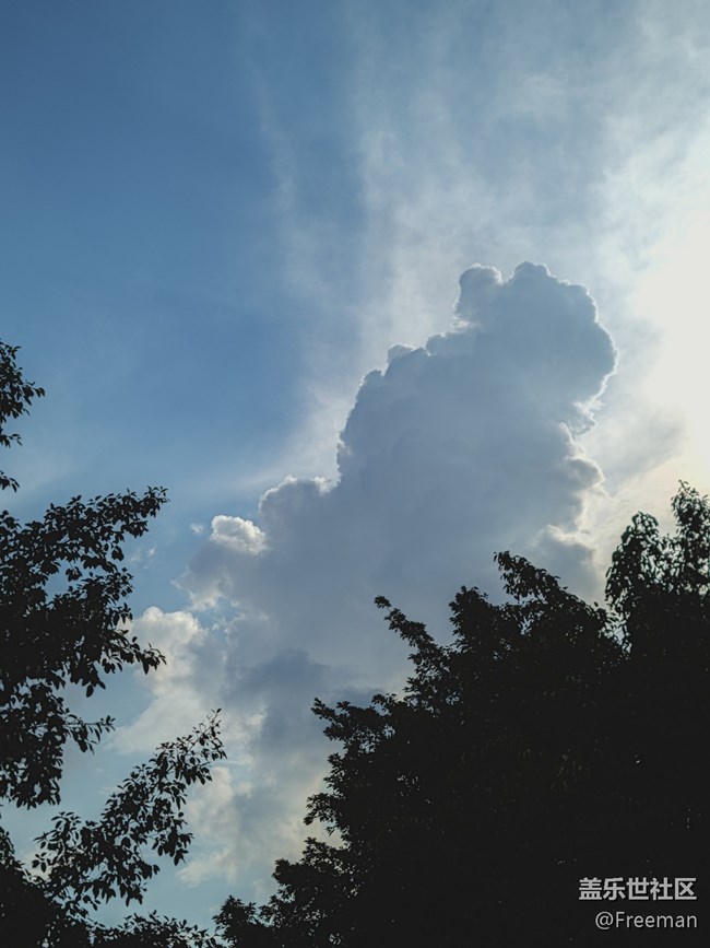 【陽光照耀的地方】暴曬の2023