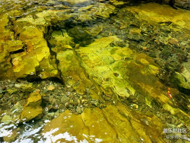 九龍?zhí)? title=