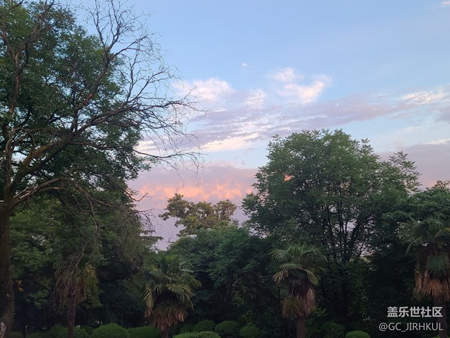 【夏日色彩】五顏六色的夏日