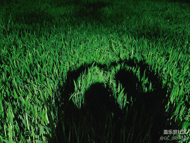 【夏日色彩】五顏六色的夏日