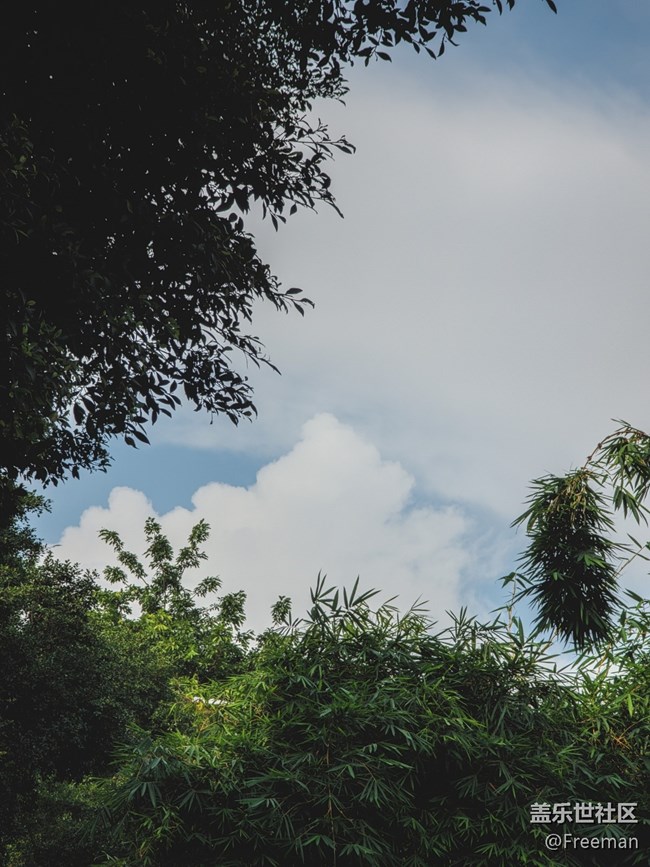 【陽光照耀的地方】暴曬の2023