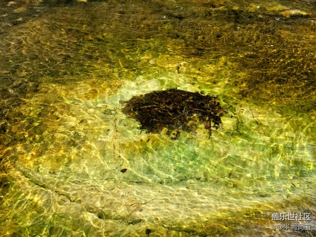 九龍?zhí)? title=