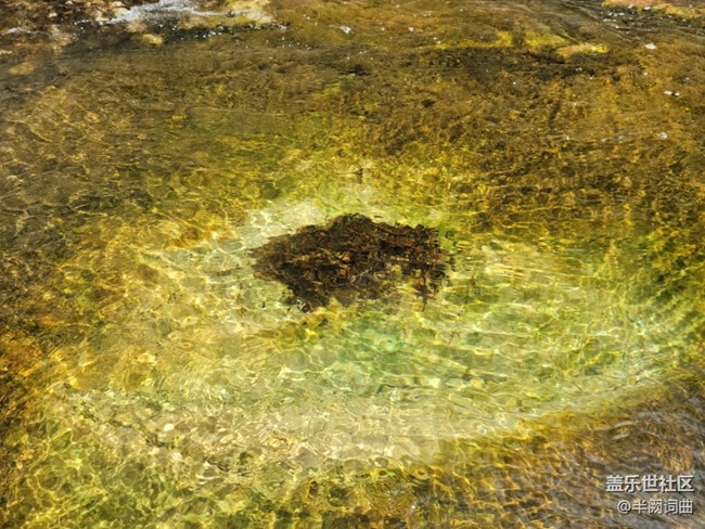 九龍?zhí)? title=