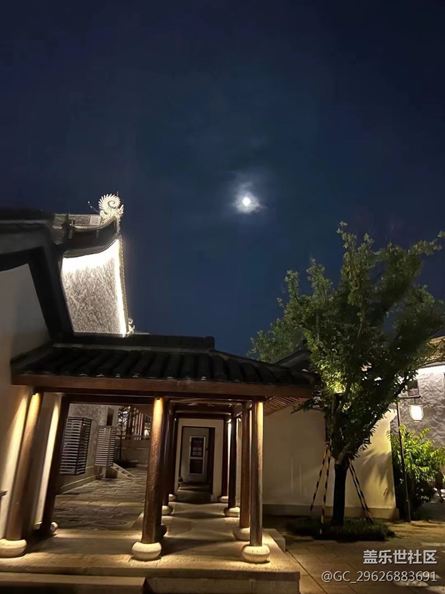 【我拍了拍夏天】暑假