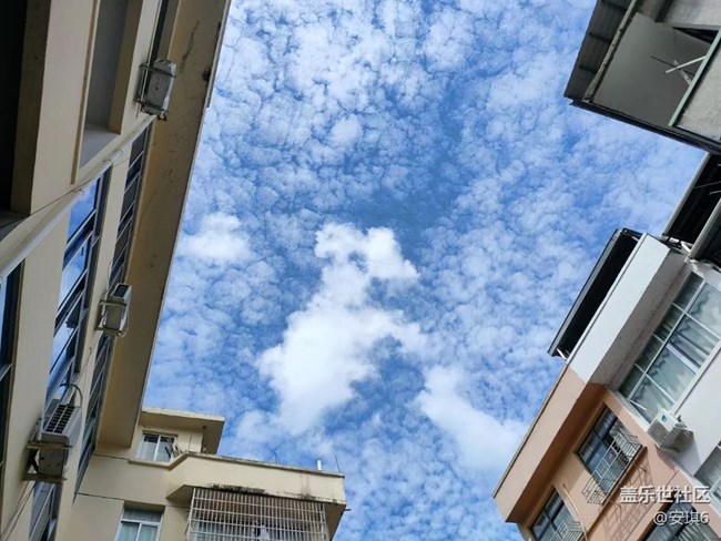 【我拍了拍夏天】夜晚散步