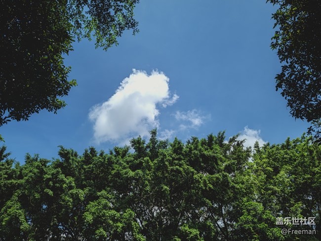 【陽光照耀的地方】斑駁的光影