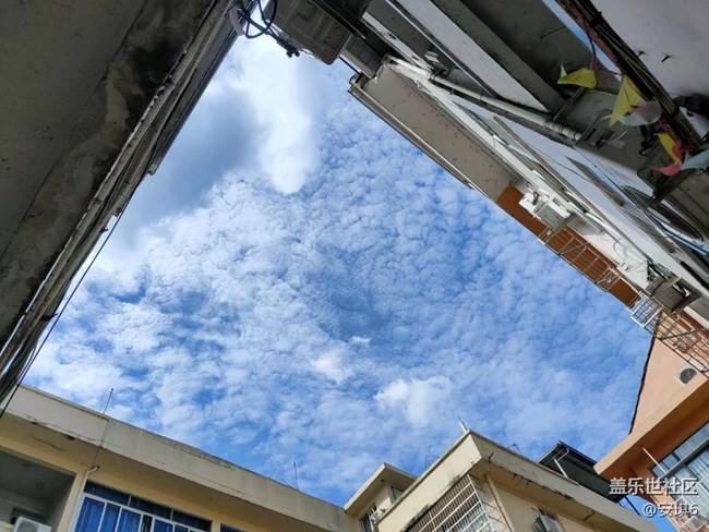 【我拍了拍夏天】夜晚散步