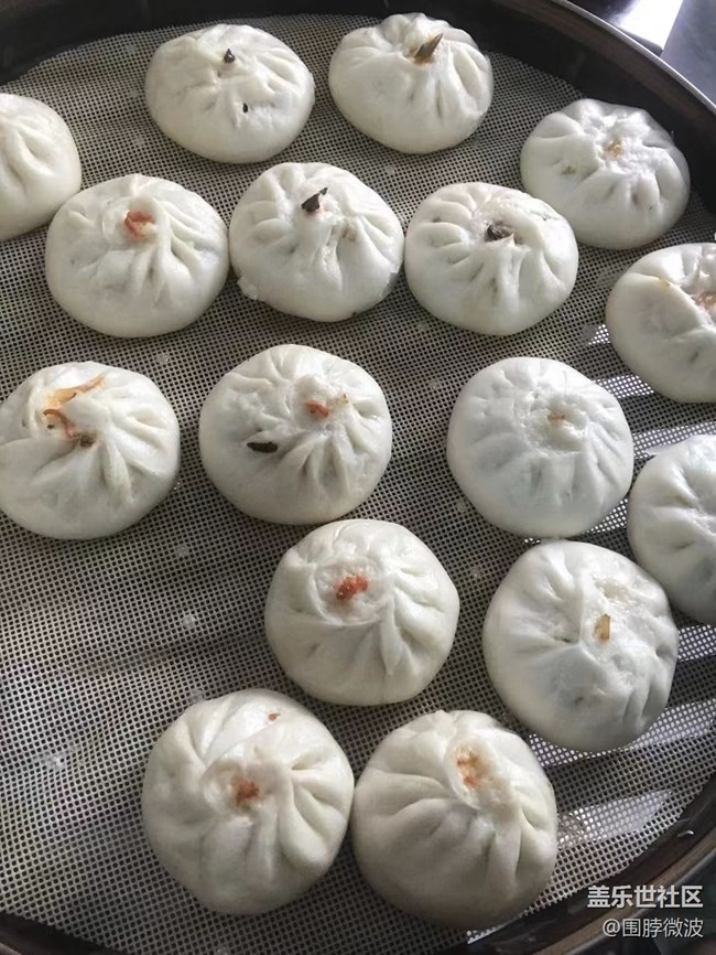 【記憶中的夏天】蒸包子