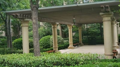 【鏡頭里的夏天】+夏天的綠色