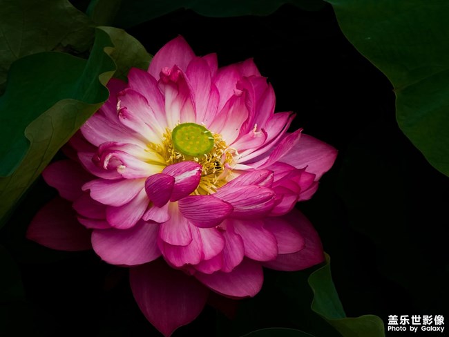 《精品大咖秀》 第六期: 新品來了 《精品大咖秀》 第六期: 新品來了