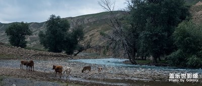 盛夏的天山中段