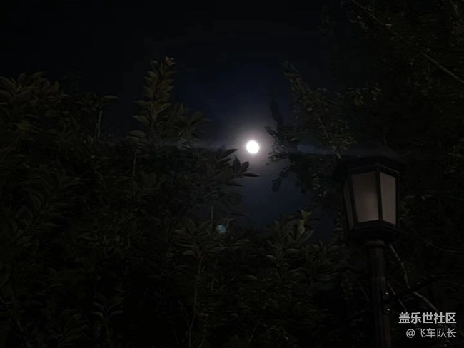 【我拍了拍夏天】夜晚