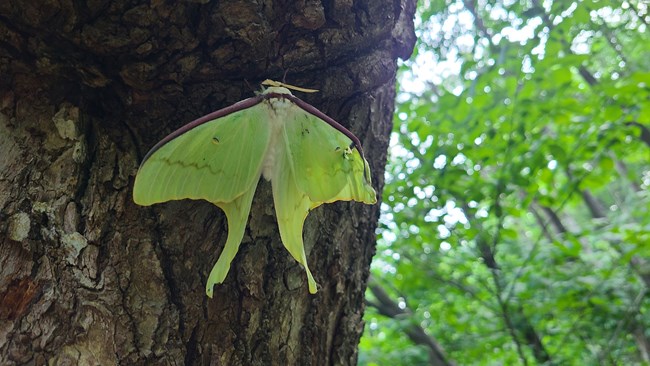 20230702沈陽星部落Vlog活動(dòng)回顧
