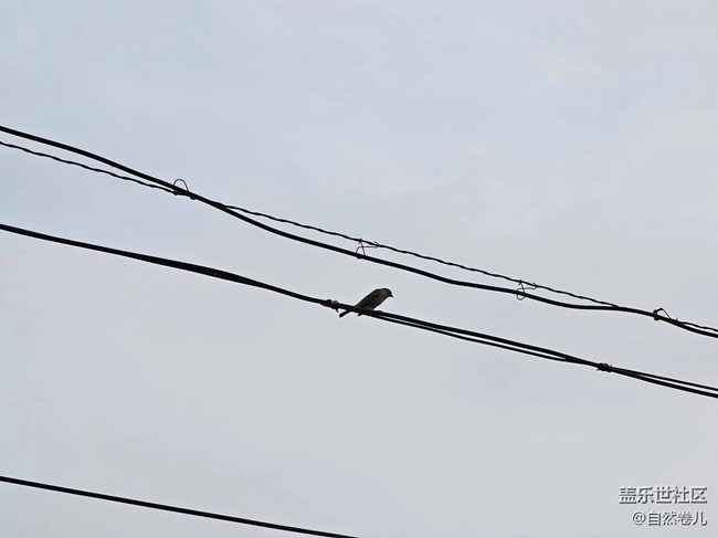 【記憶中的夏天】“消失”的童年