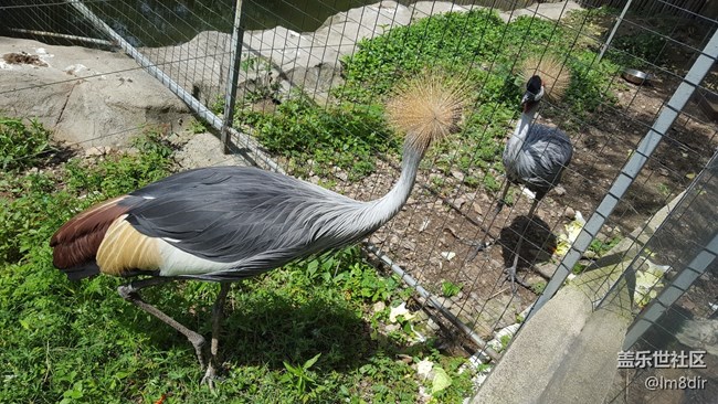 【我拍了拍夏天】+安吉中南百草園
