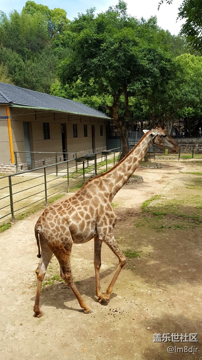 【我拍了拍夏天】+安吉中南百草園