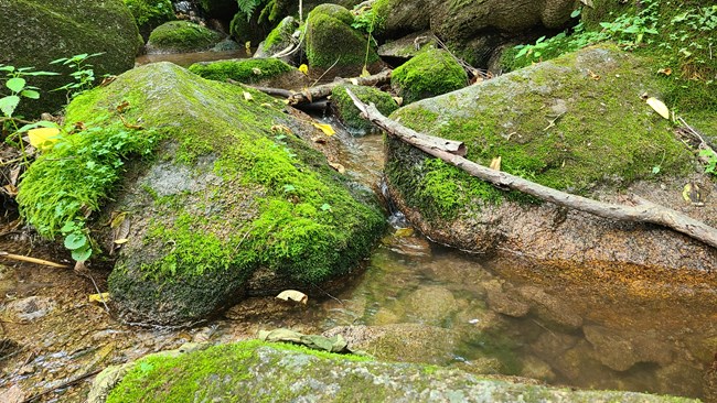 20230702沈陽星部落Vlog活動(dòng)回顧