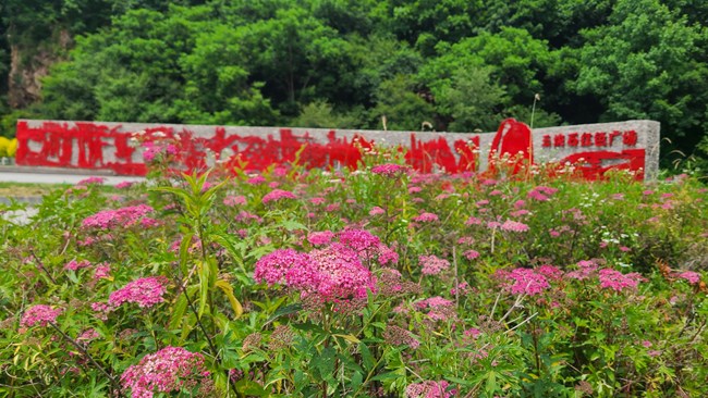 20230702沈陽星部落Vlog活動(dòng)回顧