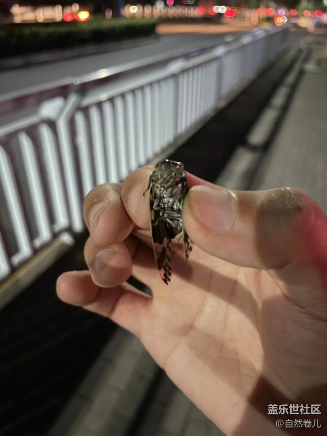 【記憶中的夏天】“消失”的童年