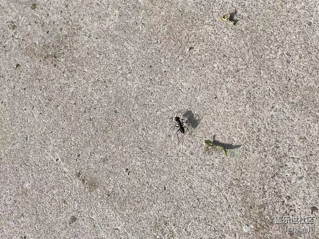 【記憶中的夏天】“消失”的童年