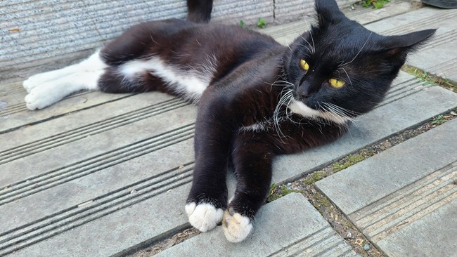 20230702沈陽星部落Vlog活動(dòng)回顧