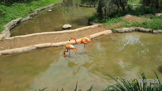 【我拍了拍夏天】+安吉中南百草園