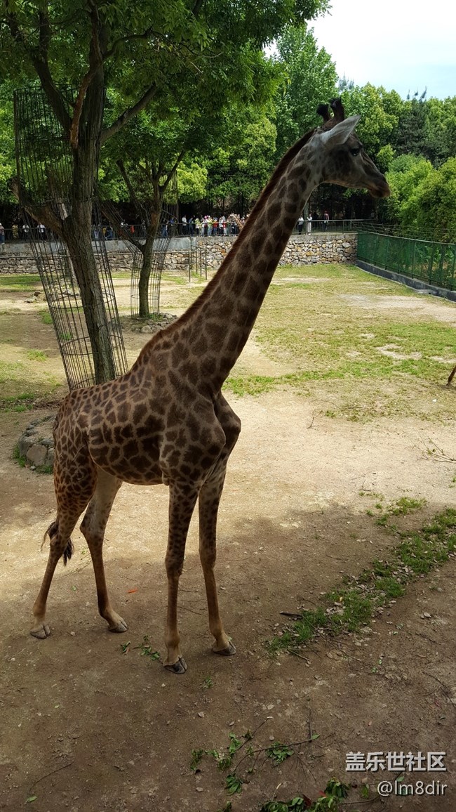 【我拍了拍夏天】+安吉中南百草園