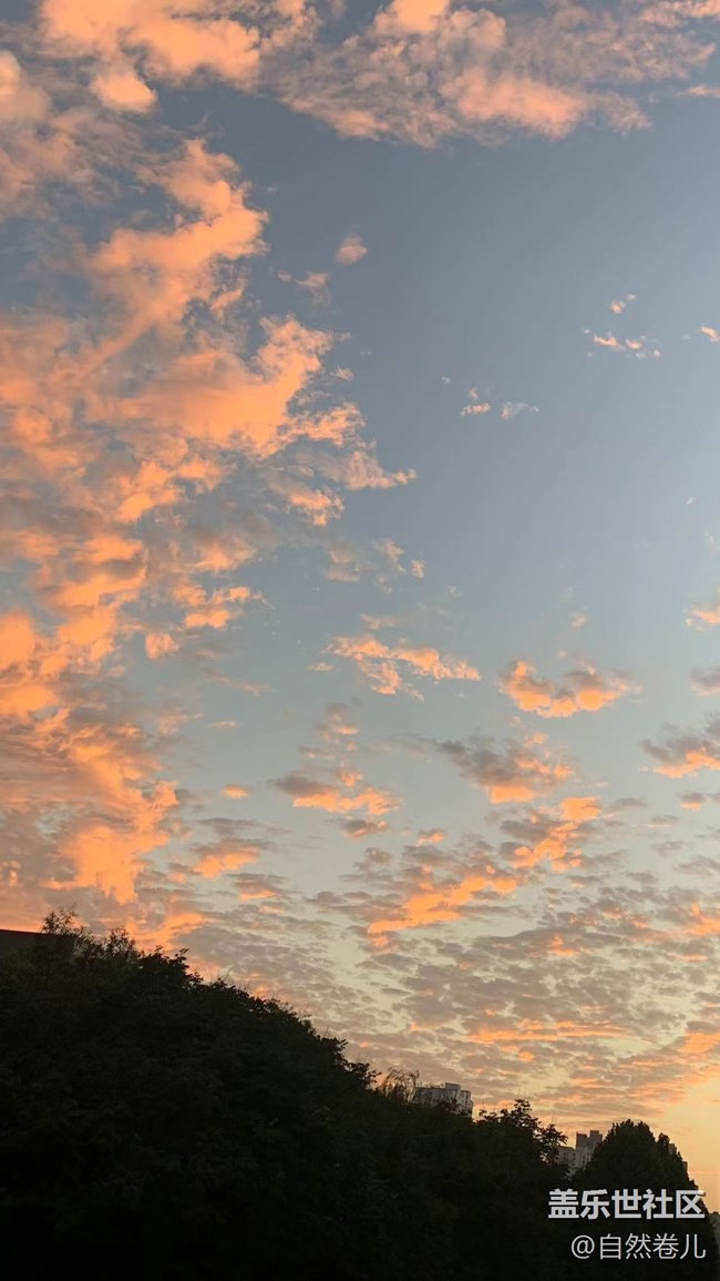 【記憶中的夏天】“消失”的童年