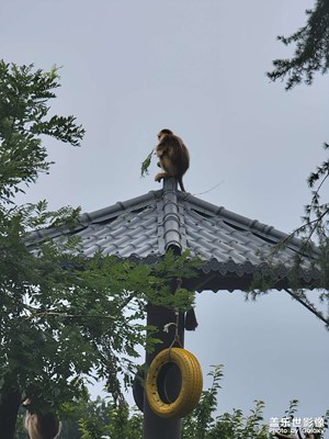 【把快樂塞進(jìn)相冊里】秦嶺四寶科學(xué)公園