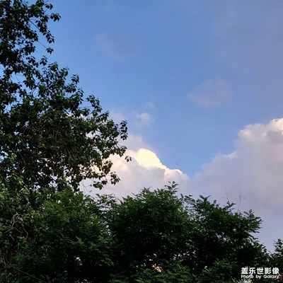 【把快樂塞進(jìn)相冊里】日常碎片??