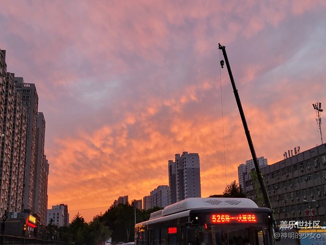 【夏日色彩】一月十二夏