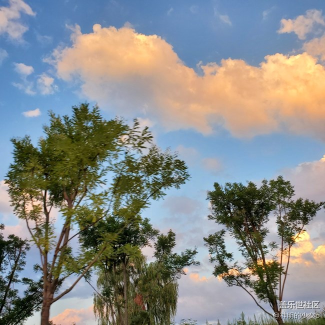 【夏日色彩】一月十二夏