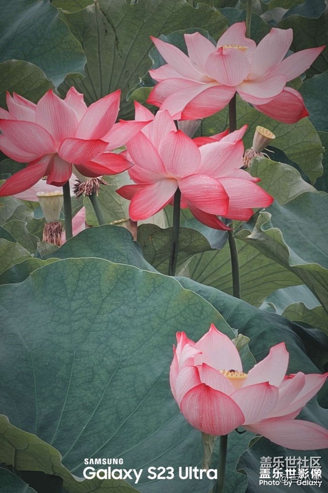 《精品大咖秀》 第七期: 社區(qū)8周年了