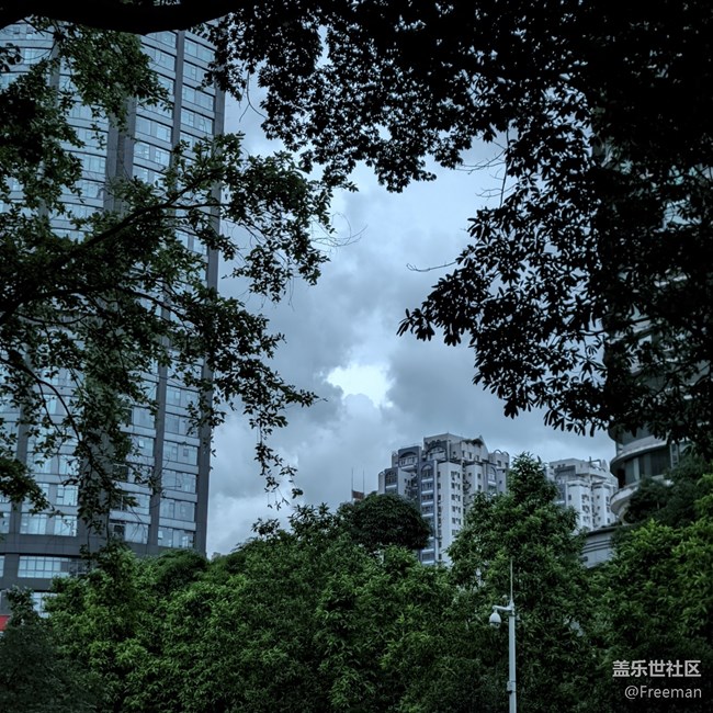 【我拍了拍夏天】天就黑了