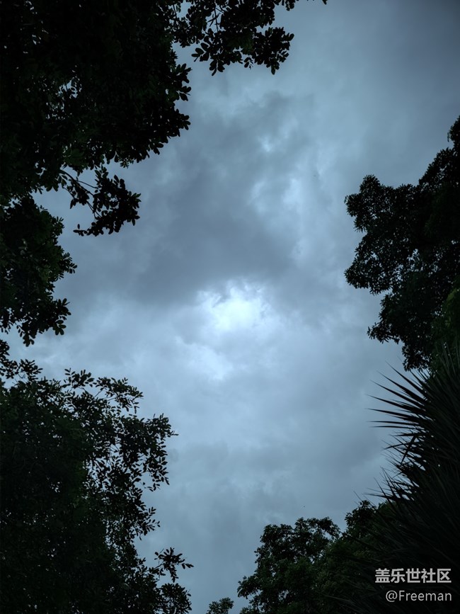 【我拍了拍夏天】天就黑了