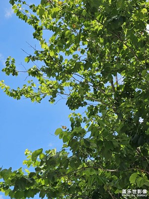 【把快樂塞進(jìn)相冊里】+夏日好時光