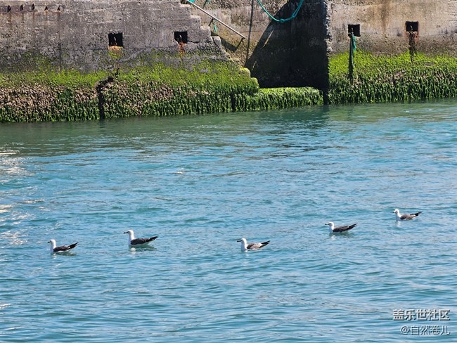 【盛夏光年】那片海