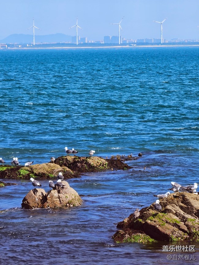 【火熱的夏天】海邊的熱浪