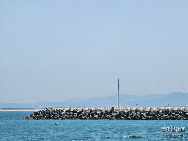 【盛夏光年】那片海