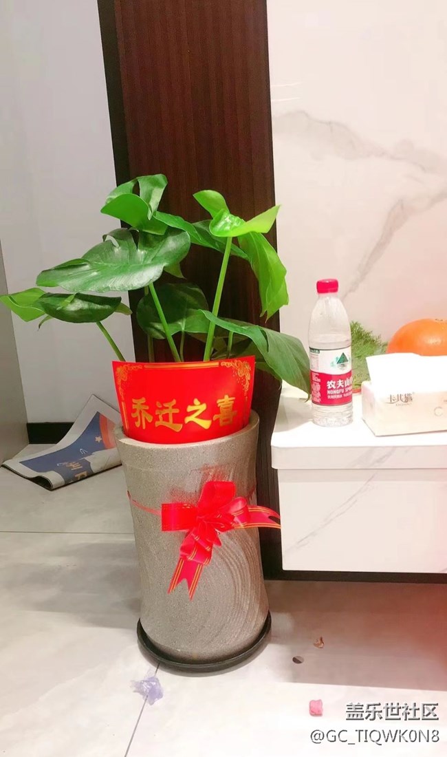 #夏日美食——搬家酒