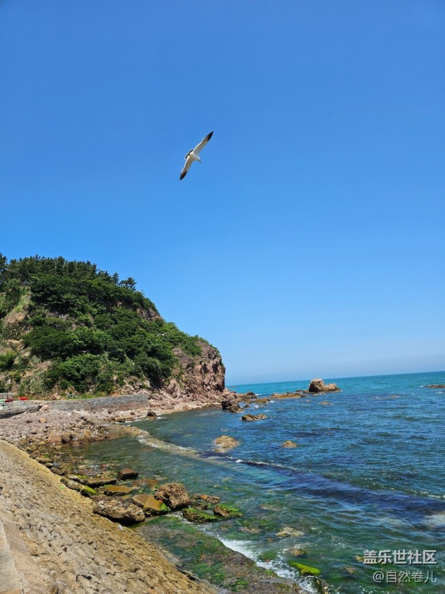 【火熱的夏天】海邊的熱浪